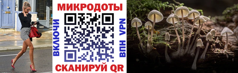 Псилоцибиновые грибы мухоморы  kraken ссылки  Кологрив 